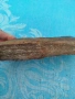 вкаменено дърво, снимка 3