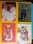 Картички Котки - лот 2, снимка 3