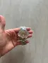 Дамски часовник  Pandora, снимка 2