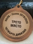 Медал НАЛБ ТРЕТО МЯСТО ЧЕТВЪРТА ДИВИЗИЯ 30040, снимка 5