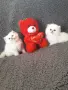 Много Красиви Бебчета.Живи  Играчки, снимка 5