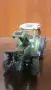 Claas tractor, Fendt tractor, снимка 3