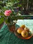 Ретро ваза и фруктиера -цветно стъкло 