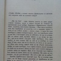 Аничка,Дребосъчето и Сламения Хуберт - В.Незвал - 1981г., снимка 3 - Детски книжки - 36936132