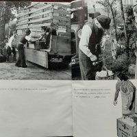 Германските земеделски кооперации въ изграждането на земеделското стопанство Хансъ Дитмеръ, снимка 4 - Антикварни и старинни предмети - 40861689