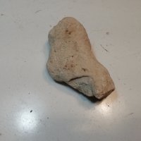 Камък вкаменелост , снимка 2 - Антикварни и старинни предмети - 42708231