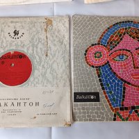 Лот грамофонни плочи на български и чужди изпълнители, снимка 13 - Антикварни и старинни предмети - 39932778