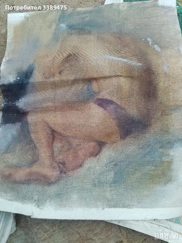 картина , снимка 1
