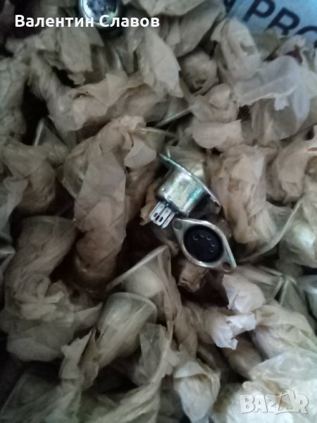 Букса петица, снимка 1