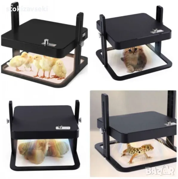 Нагревателна плоча за пиленца , снимка 1