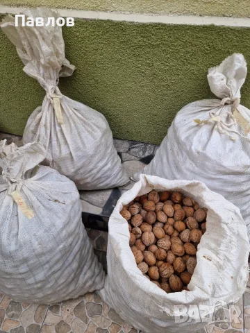 Продавам стари орехи с черупка, снимка 4 - Други - 55969603