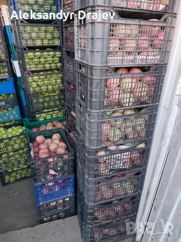 Круши, Ябълки,Мед и Сокове , снимка 16 - Домашни продукти - 56258345