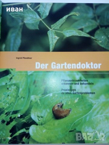 Der Gartendoktor -Ingrid Pfendtner, снимка 2 - Енциклопедии, справочници - 29266931