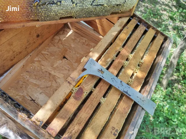 пчелен мед , снимка 3 - Пчелни продукти - 48595336