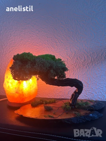 Уникални ръчно изработени дръвчета/бонсаи от скандинавски мъх