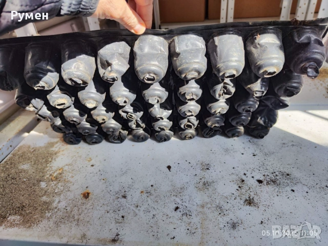 Табли за разсад, снимка 2 - Разсади - 52236020