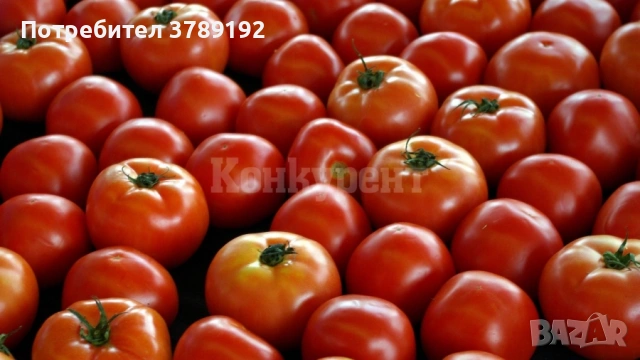 Разнос на Търговия, снимка 9 - Други услуги - 54059721