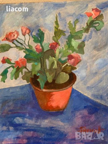 ПЕТЪР НЕНОВ масло/натюрморт, снимка 3 - Картини - 33933211