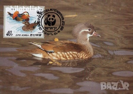 Северна Корея 1987 - 4 броя Карти Максимум - WWF, снимка 4 - Филателия - 38897177