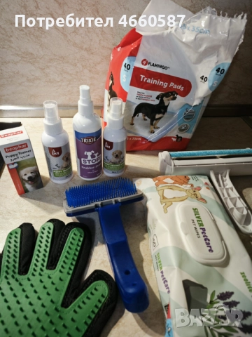 продавам кокер шпаньол – перфектно кутренце с пълен комплект!, снимка 4 - Шпаньоли - 52535823