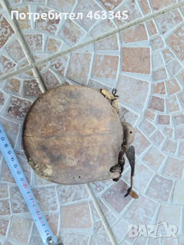 Барутница, пушка, пищов, пистолет, снимка 2 - Антикварни и старинни предмети - 50131854