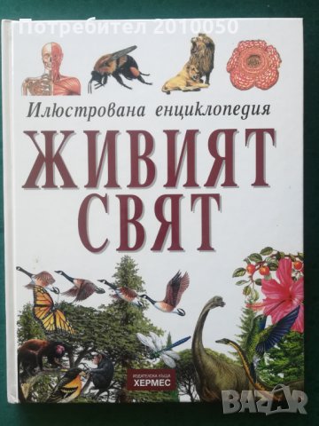 История на европейската живопис, снимка 4 - Енциклопедии, справочници - 32043029