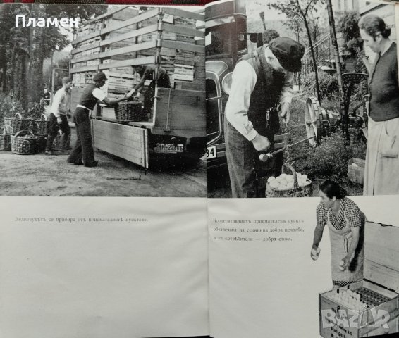 Германските земеделски кооперации въ изграждането на земеделското стопанство Хансъ Дитмеръ, снимка 4 - Антикварни и старинни предмети - 40861689