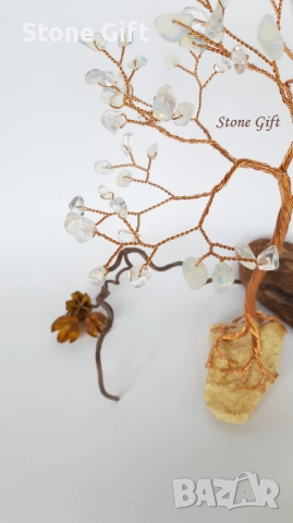 Дръвче Лунен Камък Едър , снимка 3 - Други - 52107633