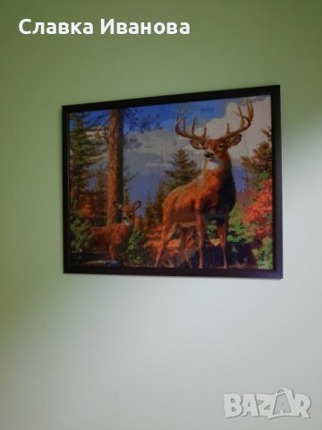 Диамантена картина - пейзаж /5 различни броя/