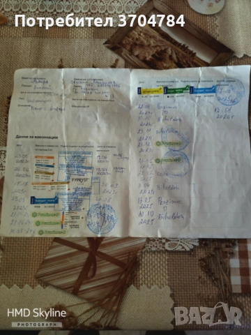 Продавам Сао алабай , снимка 6 - Алабай - 53324091