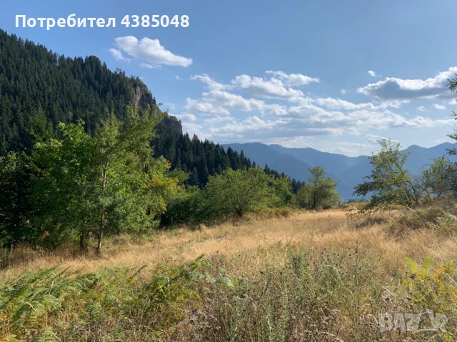 Продава земеделска земя близо 4 дк , до град Смолян, снимка 1