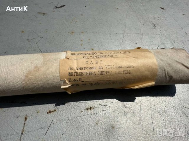 Соц Анатомични Медицински Учебни Плакати, снимка 6 - Антикварни и старинни предмети - 51100738