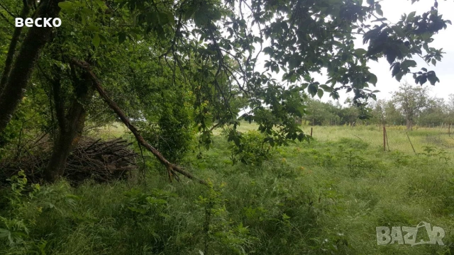 Продавам къща в село червенци от собственик, снимка 3 - Къщи - 53979851