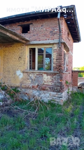 Едноетажна къща с голям двор – с. Златополе,обл.Хасково, снимка 3 - Къщи - 52837644