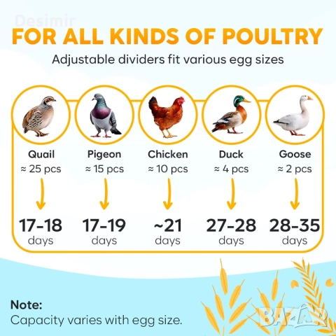 Автоматичен инкубатор за яйца OKKÖBI M12 – 12/24 яйца, снимка 2 - За птици - 52854247