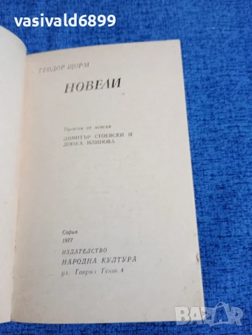 Теодор Щорм - новели , снимка 4 - Художествена литература - 50540429
