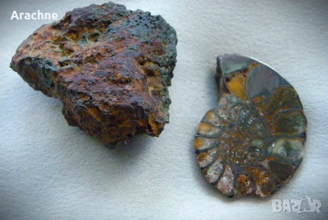 Метеорит и амонит от Мароко, снимка 2 - Колекции - 51857138