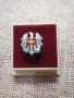 Гербова значка, снимка 3