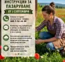 Домашно сирене , кашкавал, масло , мляко , снимка 3