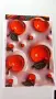 Парчета плат Есен хидро 20х29см, снимка 11