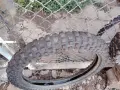 гуми за кросов мотор, снимка 4