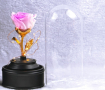 Вълшебна неувяхваща роза в стъкленица с LED светлина, снимка 3