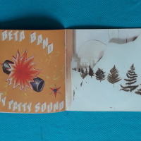 The Beta Band – 1998-The Three E.P.'s(Experimental,Indie Rock)(Digipak), снимка 8 - CD дискове - 44727583