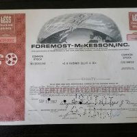 Сертификат за 80 акции (САЩ) | Foremost - McKesson Inc. | 1967г., снимка 1 - Други ценни предмети - 29300949
