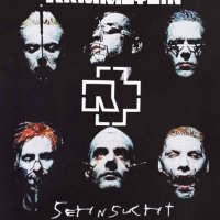 Нов мъжки суичър с дигитален печат на музикалната група Rammstein, Рамщайн - Sehnsucht, снимка 10 - Суичъри - 31912132
