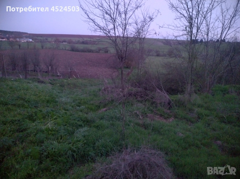 Дворно място село Цани Гинчево, снимка 1