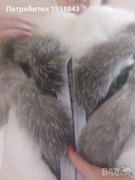 Бяло палто от лисица, снимка 1