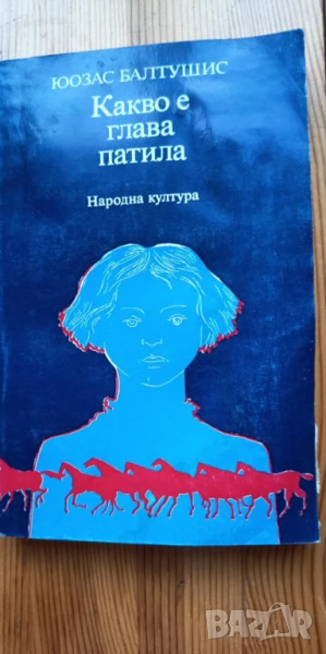 Какво е глава патила - Юозас Балтушис, снимка 1