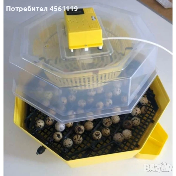 подарявам автоматичен инкубатор клео 5, снимка 1