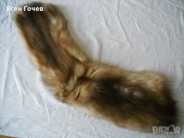Продавам нови шапка и яки от белка – естествен косъм, снимка 12 - Други - 40857461